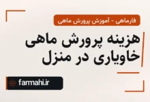 هزینه پرورش ماهی خاویاری در منزل