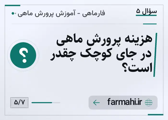 هزینه پرورش ماهی در جای کوچک چقدر است؟