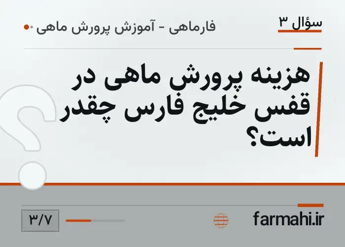 هزینه پرورش ماهی در قفس خلیج فارس چقدر است؟