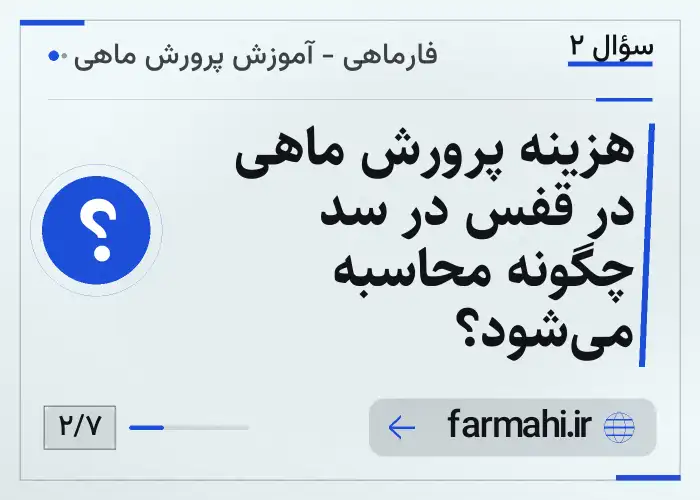 هزینه پرورش ماهی در قفس در سد چگونه محاسبه می‌شود؟