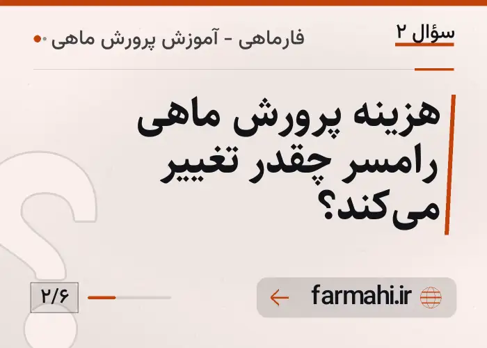 هزینه پرورش ماهی رامسر چقدر تغییر می‌کند؟