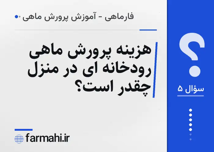 هزینه پرورش ماهی رودخانه ای در منزل چقدر است؟