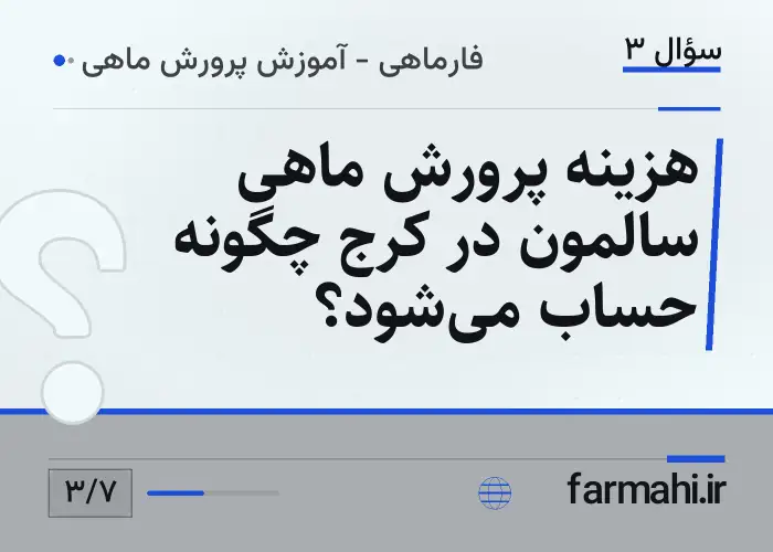 هزینه پرورش ماهی سالمون در کرج چگونه حساب می‌شود؟