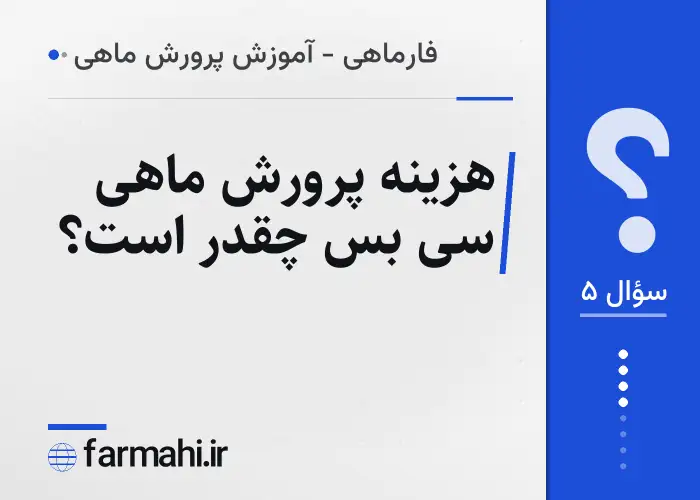 هزینه پرورش ماهی سی بس چقدر است؟