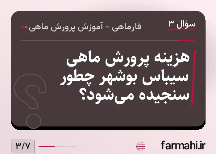 هزینه پرورش ماهی سیباس بوشهر چطور سنجیده می‌شود؟