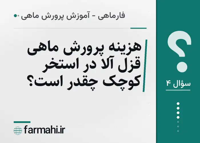 هزینه پرورش ماهی قزل آلا در استخر کوچک چقدر است؟