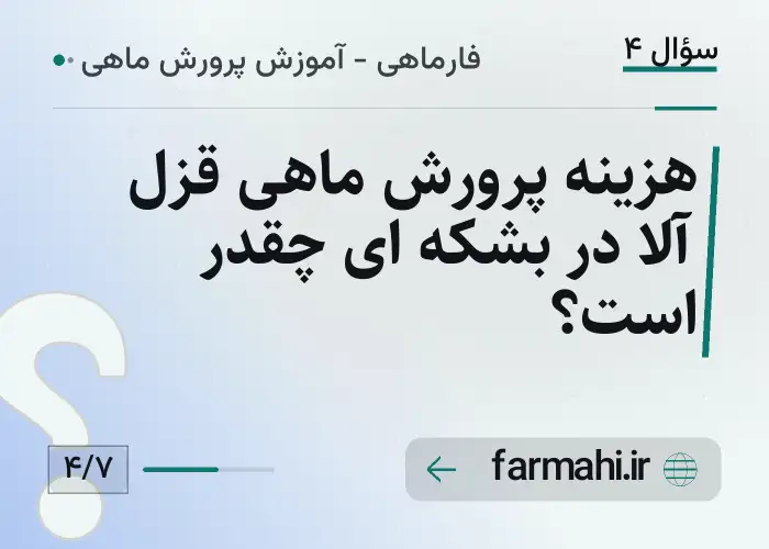 هزینه پرورش ماهی قزل آلا در بشکه ای چقدر است؟