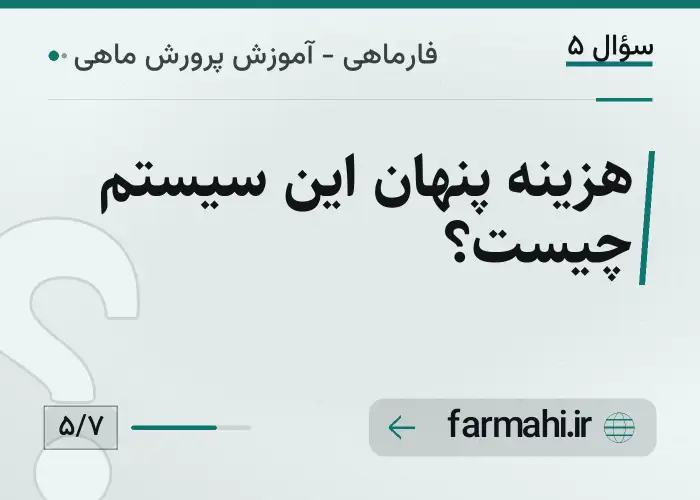 هزینه پنهان این سیستم چیست؟