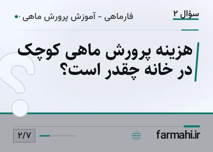هزینه پرورش ماهی کوچک در خانه چقدر است؟