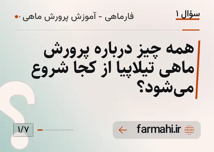 همه چیز درباره پرورش ماهی تیلاپیا از کجا شروع می‌شود؟