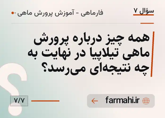همه چیز درباره پرورش ماهی تیلاپیا در نهایت به چه نتیجه‌ای می‌رسد؟