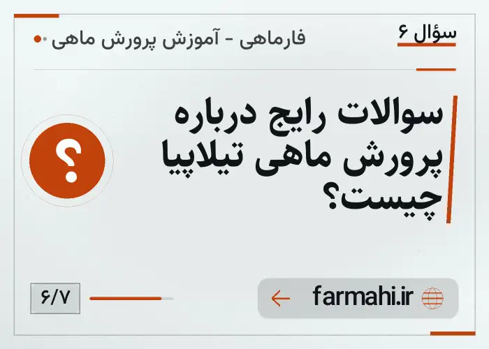 سوالات رایج درباره پرورش ماهی تیلاپیا چیست؟