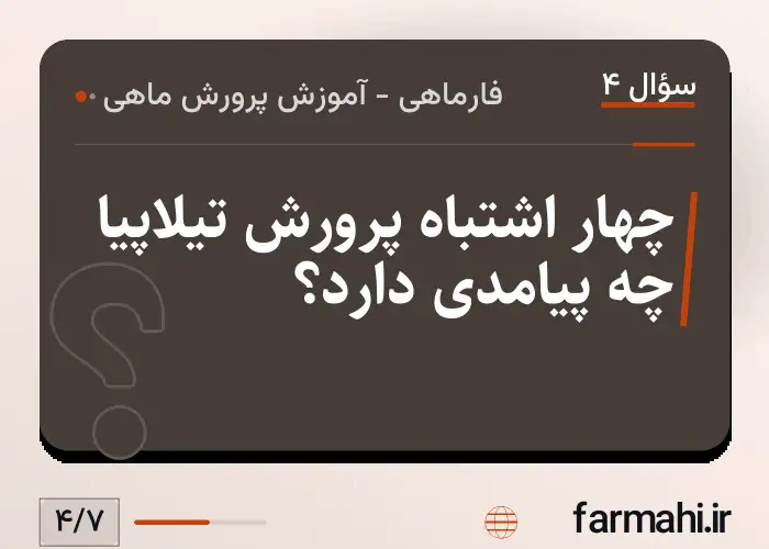 چهار اشتباه پرورش تیلاپیا چه پیامدی دارد؟