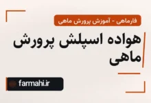 هواده اسپلش پرورش ماهی
