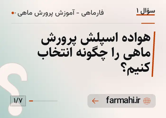 هواده اسپلش پرورش ماهی را چگونه انتخاب کنیم؟