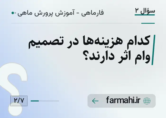 کدام هزینه‌ها در تصمیم وام اثر دارند؟