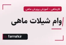 وام شیلات ماهی