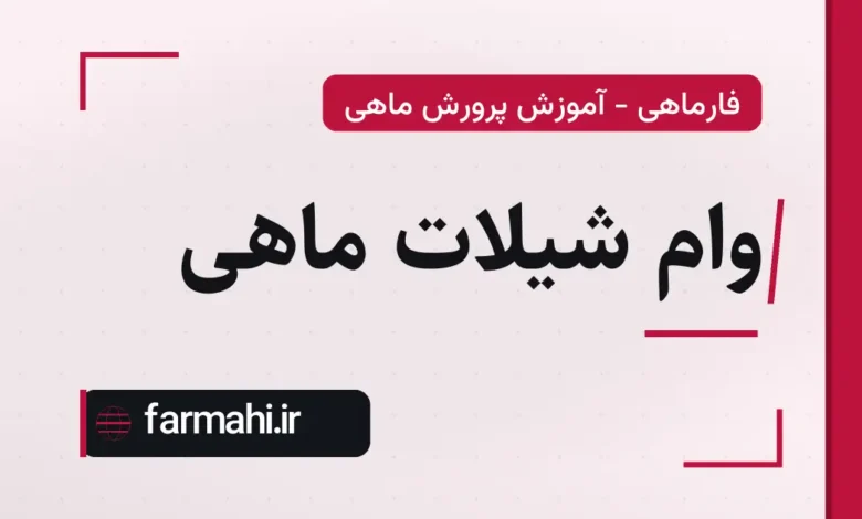 وام شیلات ماهی