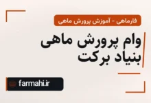 وام پرورش ماهی بنیاد برکت