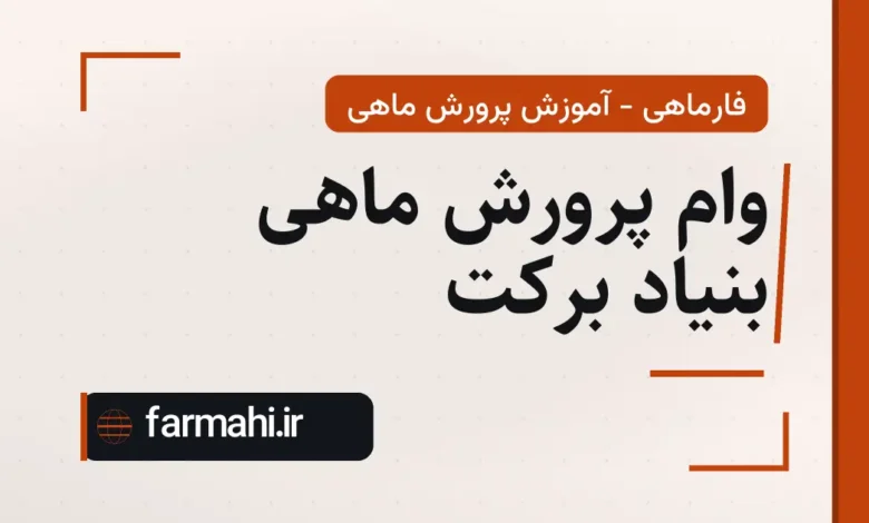 وام پرورش ماهی بنیاد برکت