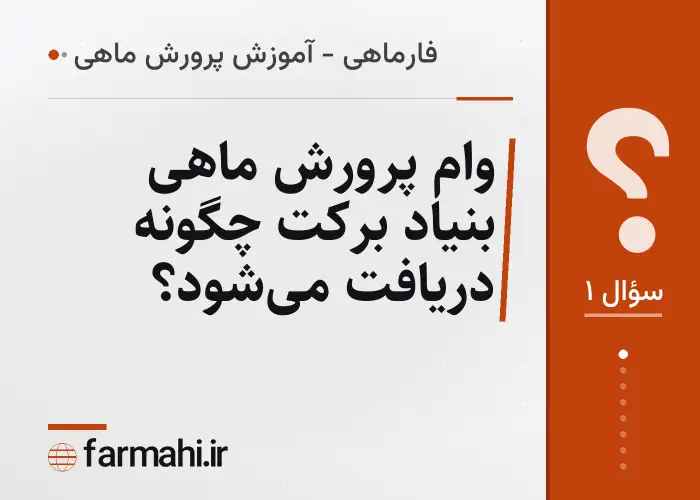 وام پرورش ماهی بنیاد برکت چگونه دریافت می‌شود؟