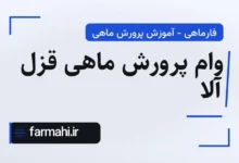 وام پرورش ماهی قزل آلا