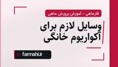 وسایل لازم برای آکواریوم خانگی