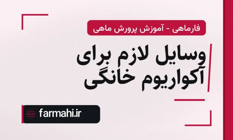 وسایل لازم برای آکواریوم خانگی