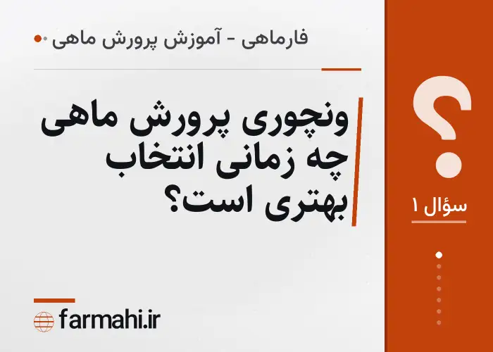 ونچوری پرورش ماهی چه زمانی انتخاب بهتری است؟