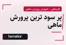 پر سود ترین پرورش ماهی