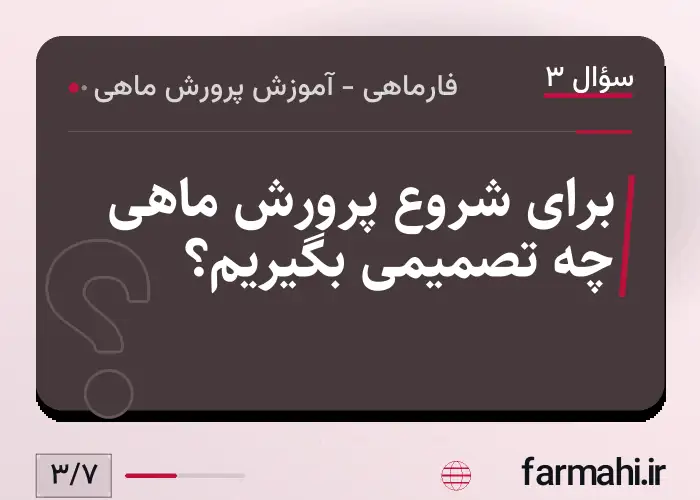 برای شروع پرورش ماهی چه تصمیمی بگیریم؟
