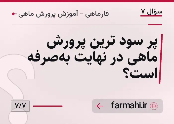 پر سود ترین پرورش ماهی در نهایت به‌صرفه است؟