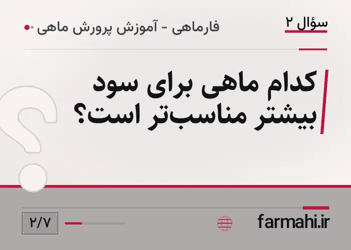 کدام ماهی برای سود بیشتر مناسب‌تر است؟