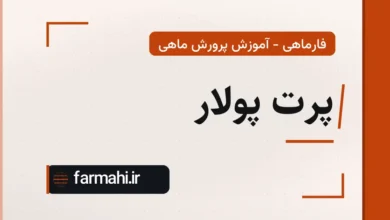پرت پولار