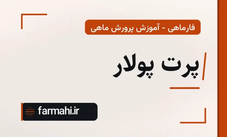 پرت پولار