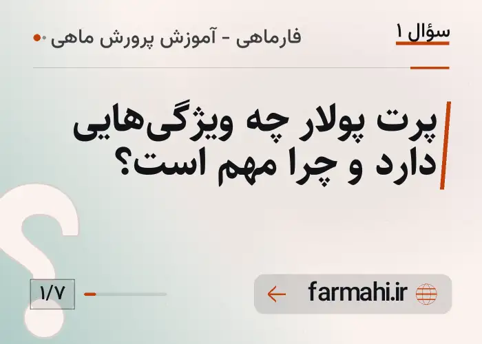 پرت پولار چه ویژگی‌هایی دارد و چرا مهم است؟