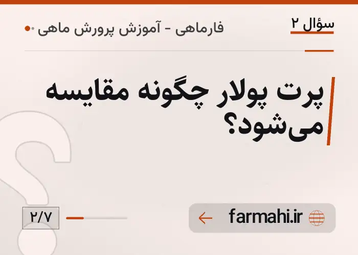 پرت پولار چگونه مقایسه می‌شود؟