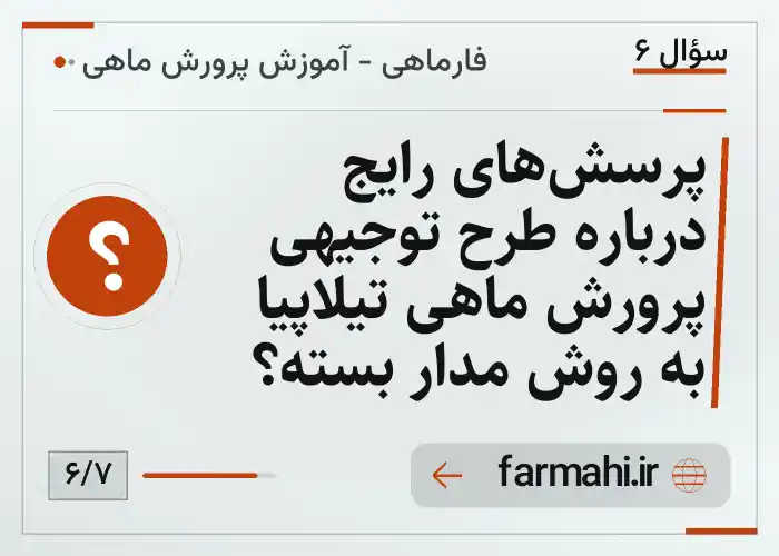 پرسش‌های رایج درباره طرح توجیهی پرورش ماهی تیلاپیا به روش مدار بسته؟