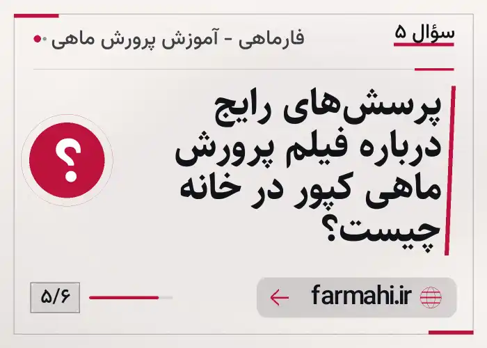 پرسش‌های رایج درباره فیلم پرورش ماهی کپور در خانه چیست؟