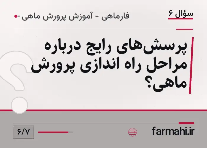 پرسش‌های رایج درباره مراحل راه اندازی پرورش ماهی؟