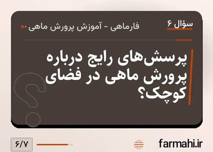 پرسش‌های رایج درباره پرورش ماهی در فضای کوچک؟
