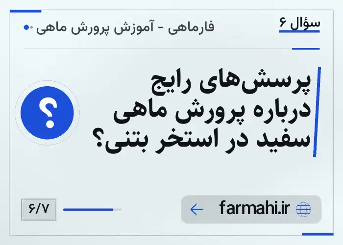 پرسش‌های رایج درباره پرورش ماهی سفید در استخر بتنی؟