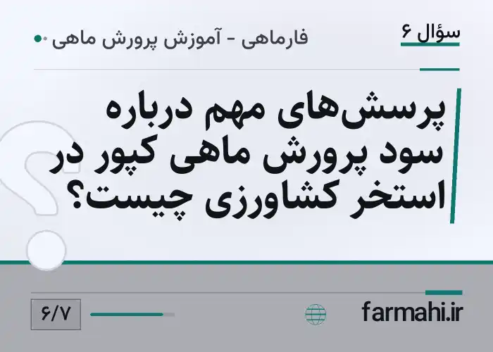 پرسش‌های مهم درباره سود پرورش ماهی کپور در استخر کشاورزی چیست؟