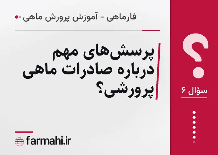 پرسش‌های مهم درباره صادرات ماهی پرورشی؟