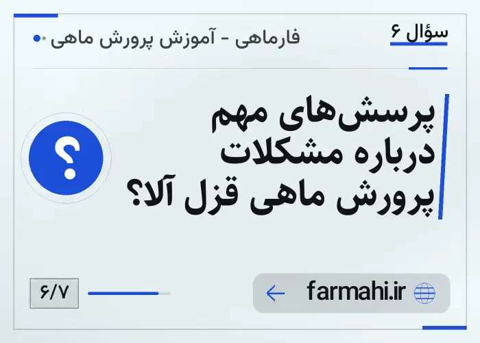 پرسش‌های مهم درباره مشکلات پرورش ماهی قزل آلا؟