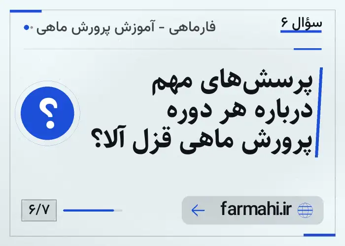 پرسش‌های مهم درباره هر دوره پرورش ماهی قزل آلا؟