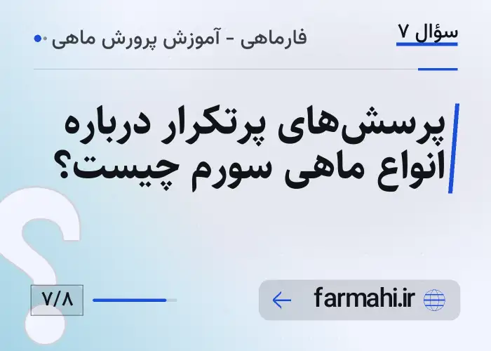 پرسش‌های پرتکرار درباره انواع ماهی سورم چیست؟