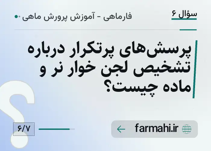 پرسش‌های پرتکرار درباره تشخیص لجن خوار نر و ماده چیست؟