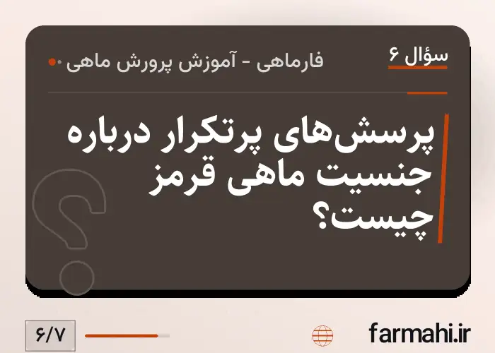 پرسش‌های پرتکرار درباره جنسیت ماهی قرمز چیست؟