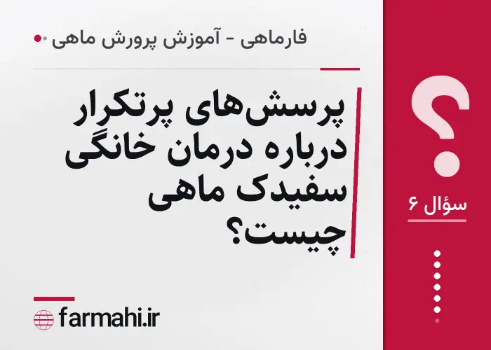 پرسش‌های پرتکرار درباره درمان خانگی سفیدک ماهی چیست؟